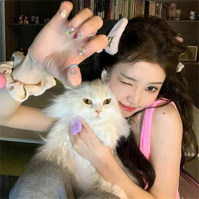 蝙蝠侠：红影迷踪