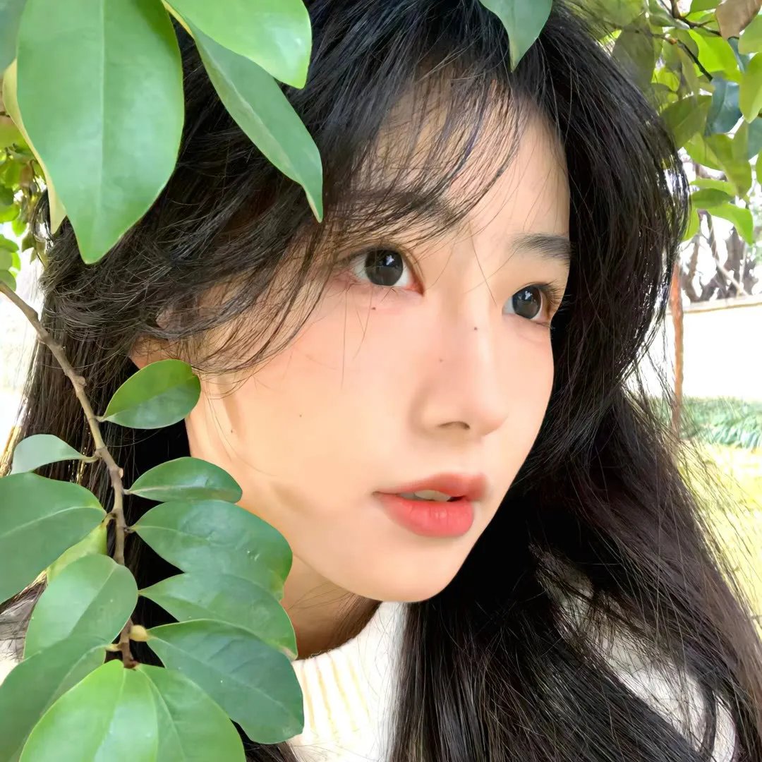 本宫驾到父慈子又孝