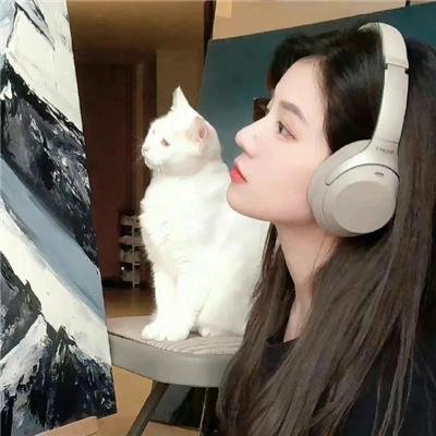 神推偶像登上武道馆我就死而无憾